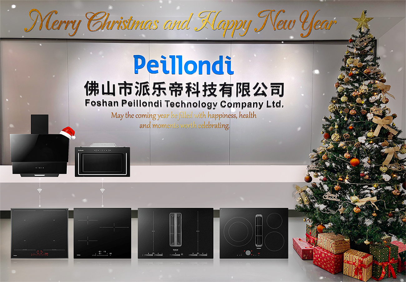 Merry Chritsmas and Happy New Year 2026